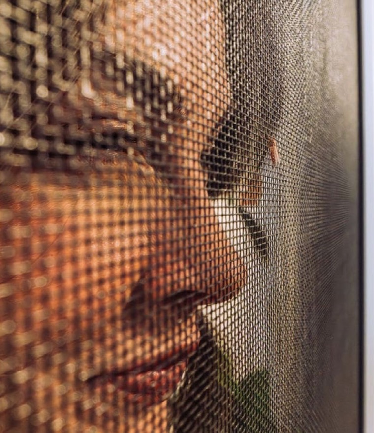 Close-up of a person&rsquo;s face seen through the fine mesh of a retractable screen at a doorway