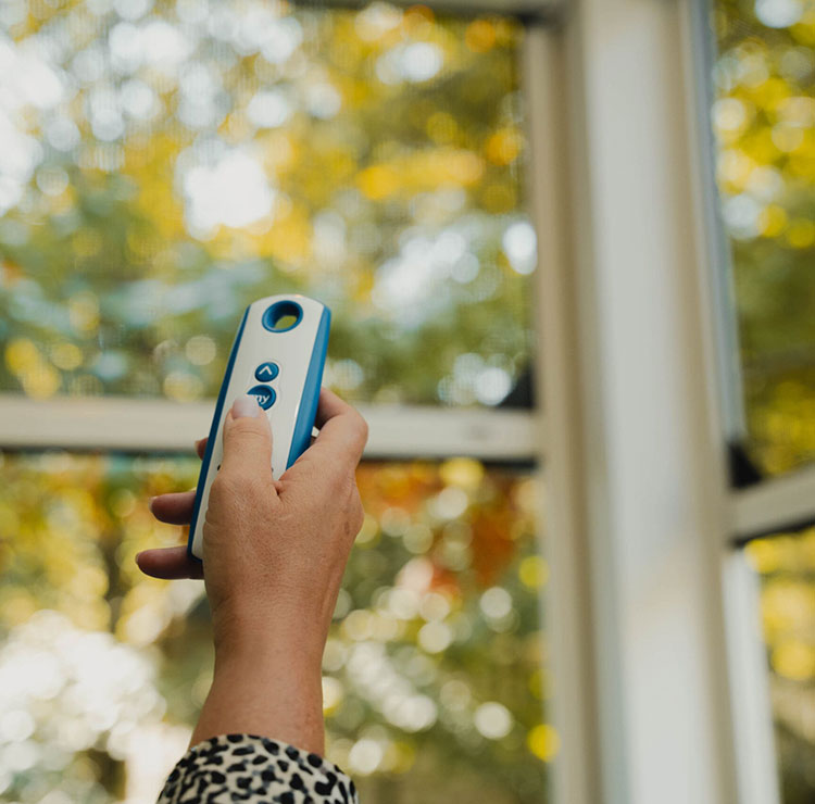 Hand holding blue remote control for motorized screen system against blurred outdoor background
