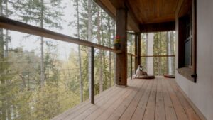 A dog sits on a wooden deck, gazing out over a lush green forest in the background.